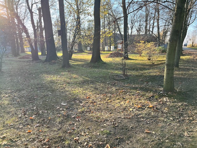 Viele Hände, schnelles Ende: Arbeitseinsatz im Schlosspark