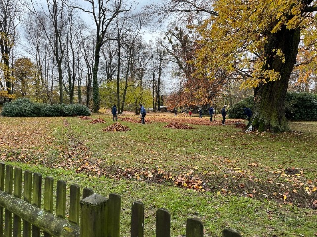 Erfolgreicher Arbeitseinsatz im Schlosspark